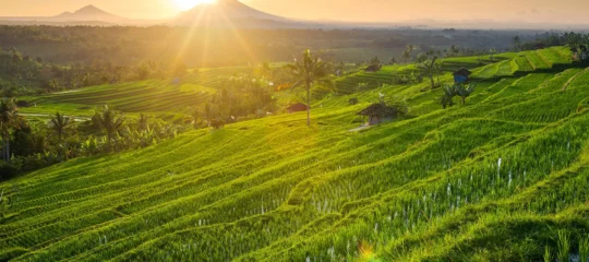 Bali en Gili op het gemak